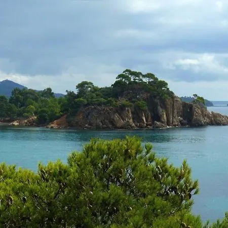 Les Vendangeurs A 800 M De La Bormes-les-Mimosas