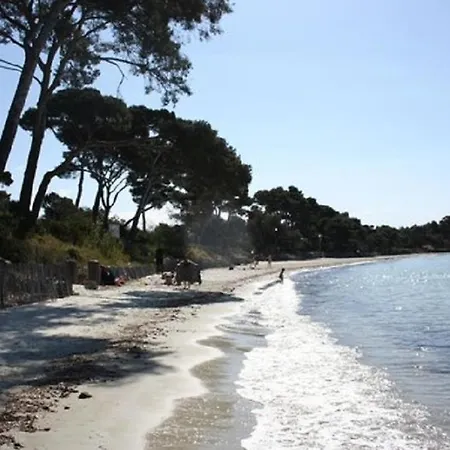 Les Vendangeurs A 800 M De La * Bormes-les-Mimosas