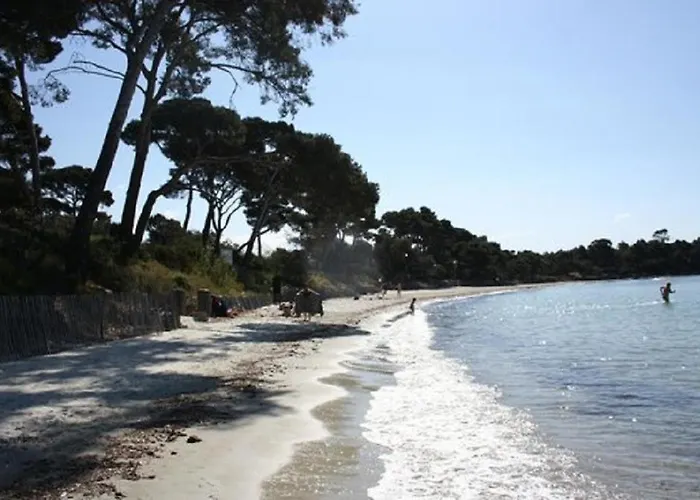 Les Vendangeurs A 800 M De La * بورم لي ميموزا